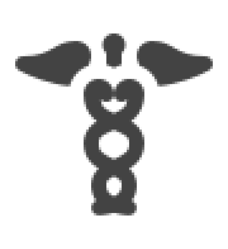 Medical caduceus icon representing primary care and general medical services at Wilmington Mental Health.
