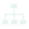 Orginization